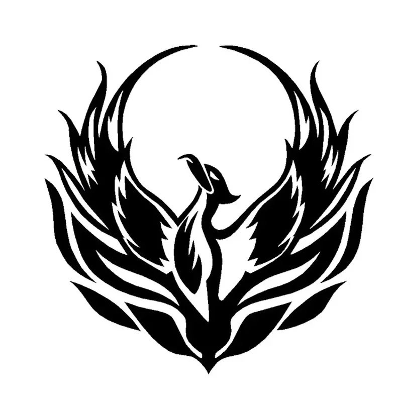 Stiker Mobil Keren Flame Fire  - Car Accessories Phoenix ulasan dan harga